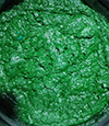 產(chǎn)品種類多型號(hào)全